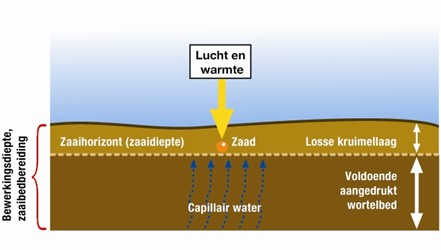 Kruimelig zaaibed ven vast wortelbed voor een vlotte start