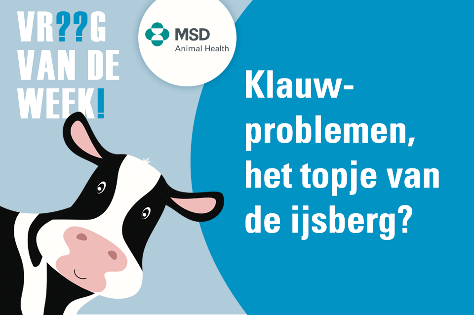 Klauwproblemen, het topje van de ijsberg?