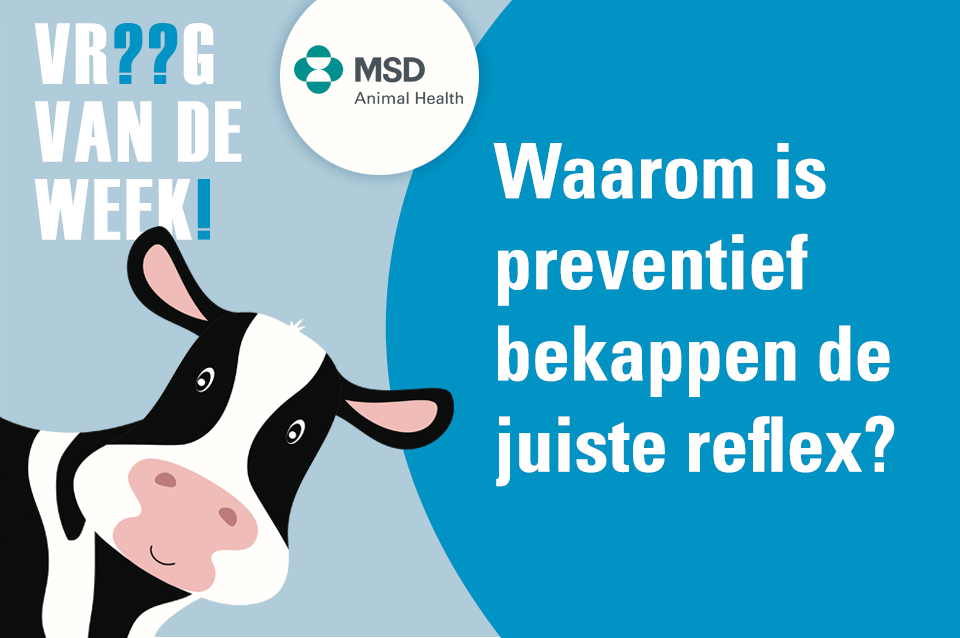 Waarom is preventief bekappen de juiste reflex