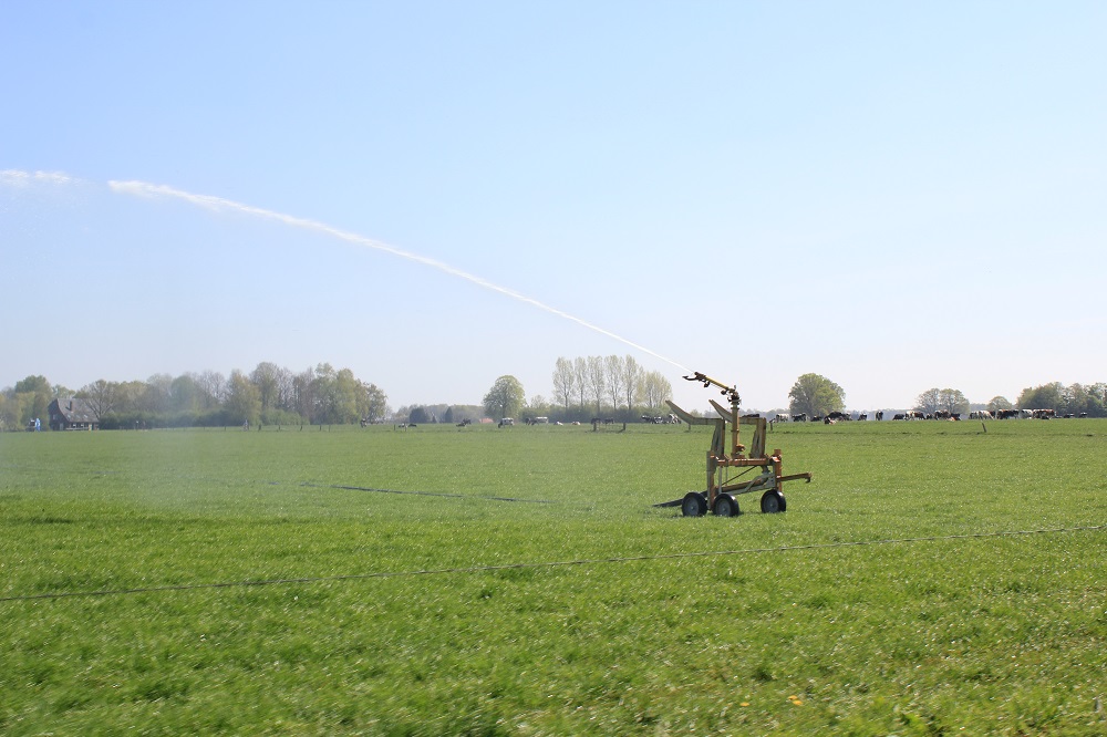 Hoger saldo door optimalisering van de ruwvoerteelt