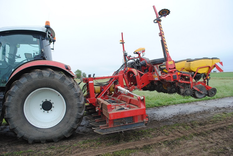 Mechanisch of chemisch het vanggewas vernietigen in snijmais?