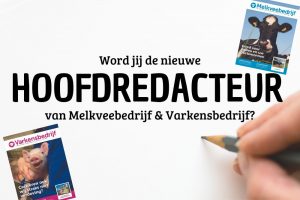 Vacature hoofdredacteur Vlaanderen Melkveebedrijf & Varkensbedrijf