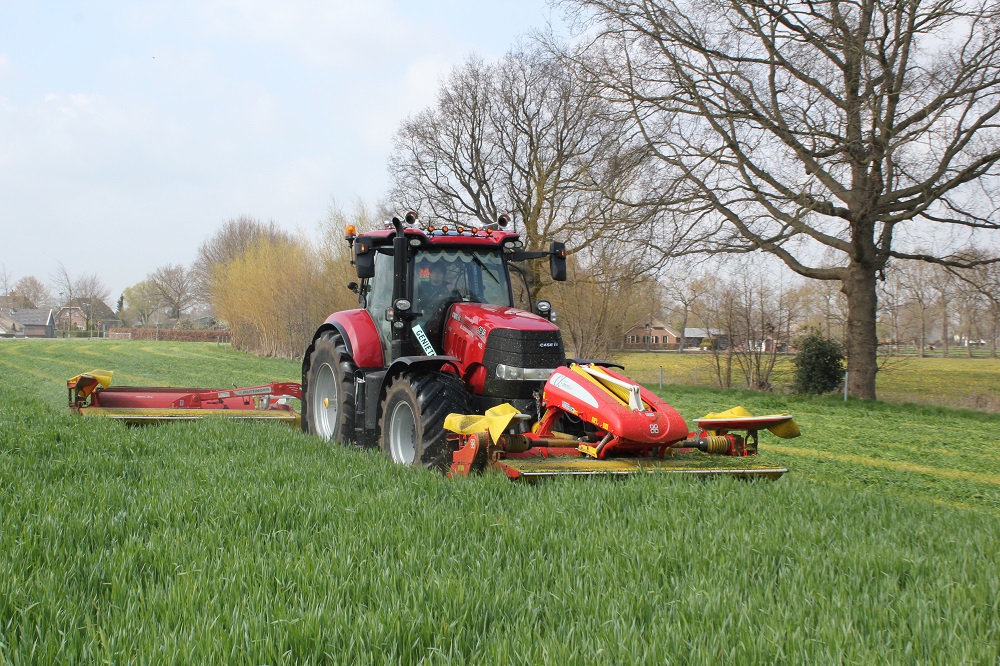 Ruwvoertekort? Zaai dan Snelle Lente Rogge na de maïs!