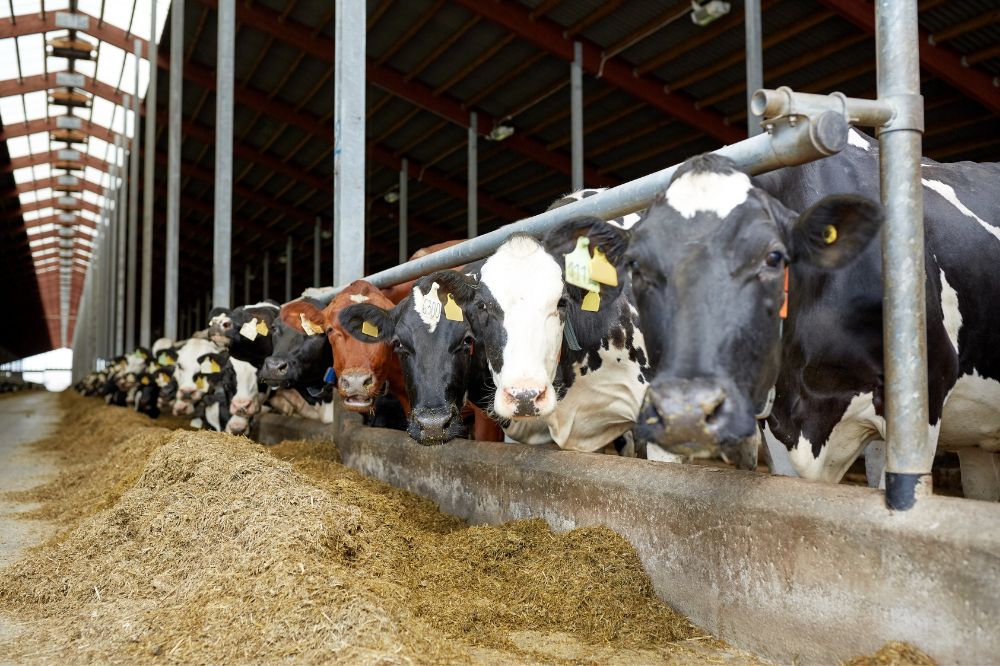 Kosten nieuwbouw in België in twee jaar bijna verdubbeld