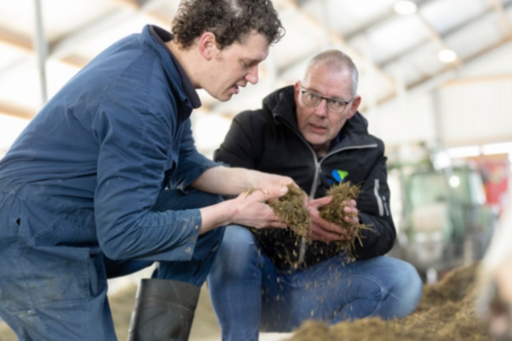 Melkveebedrijf - De Heus - Top ruwvoer met Bonsilage