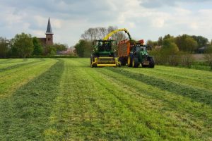 Voeg extra groene stikstof toe aan uw ruwvoerteelt met Utrisha®N / BlueN®