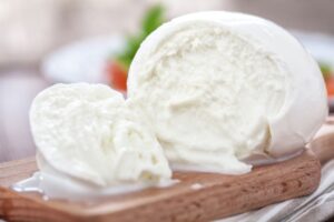 Melkveebedrijf -- Milcobel deelt expertise in Mozzarella Experience Center