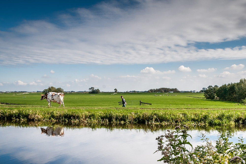 Hoe maak ik mijn rundveebedrijf klaar voor de toekomst?