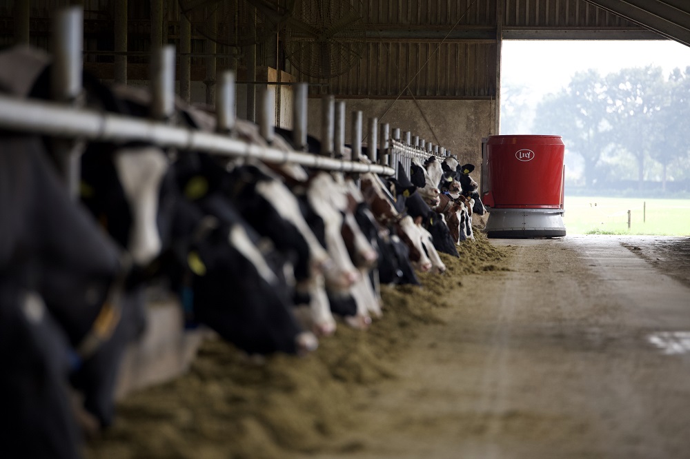 Automatisch voersysteem in Nederland steeds populairder