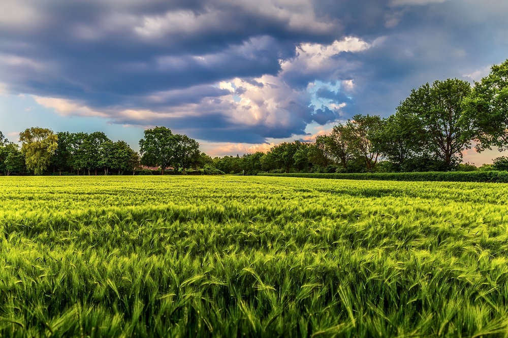 Landbouwers getroffen door wateroverlast