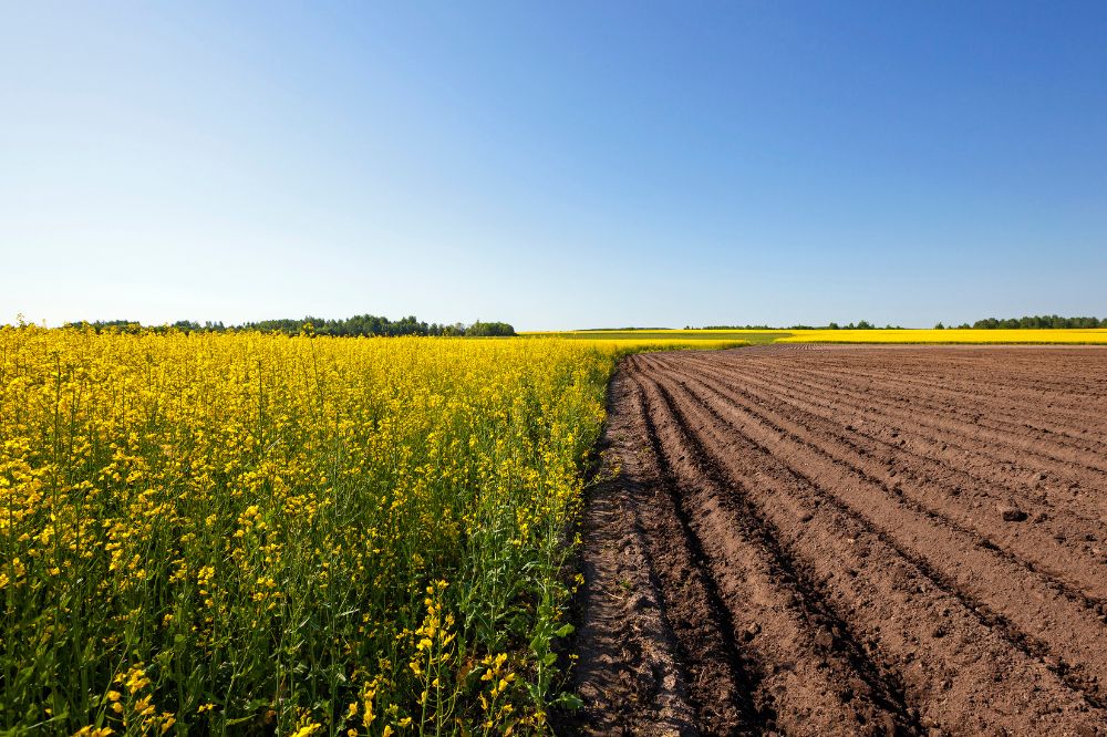 Departement op 1 januari 2024 omgedoopt tot 'Agentschap Landbouw en Zeevisserij'