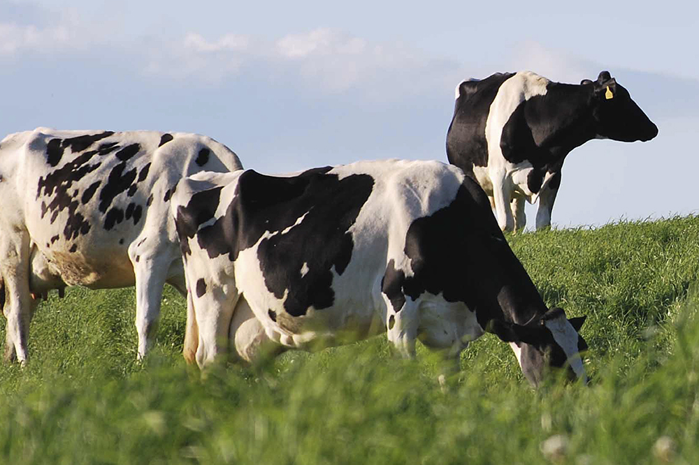 Kies nu voor SilvAir en profiteer van Vlaamse eco-regeling