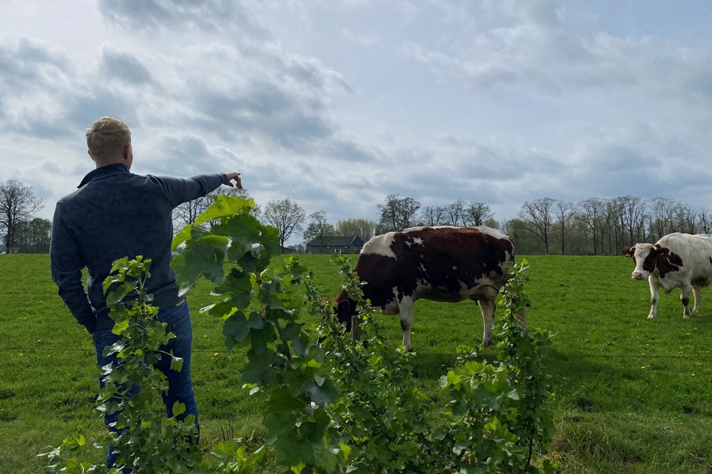 Agroforestry in de praktijk “Zo leggen wij de link tussen burgers en het platteland”